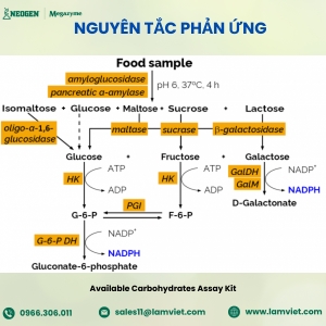 Bộ thuốc thử/ xét nghiệm carbohydrate